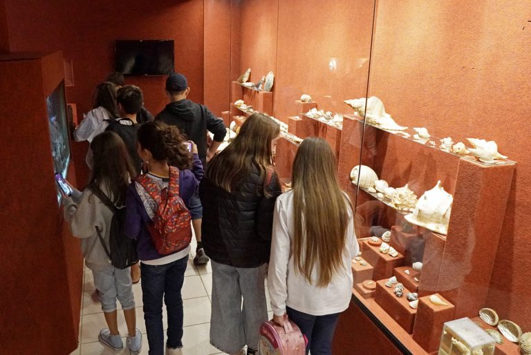 20ª semana nacional de museus (Piçarras)